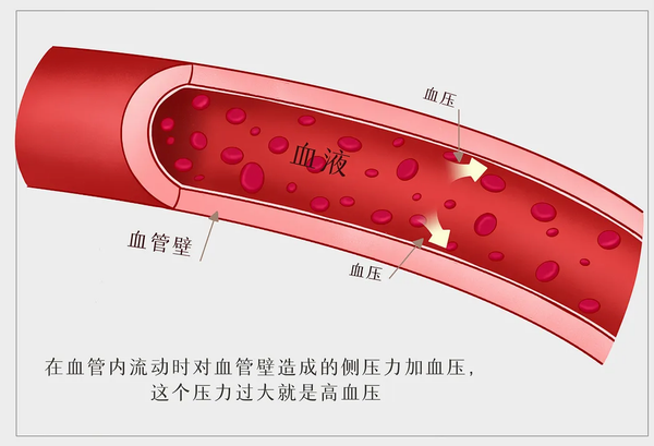 AG贵宾厅·(中国区)官网入口